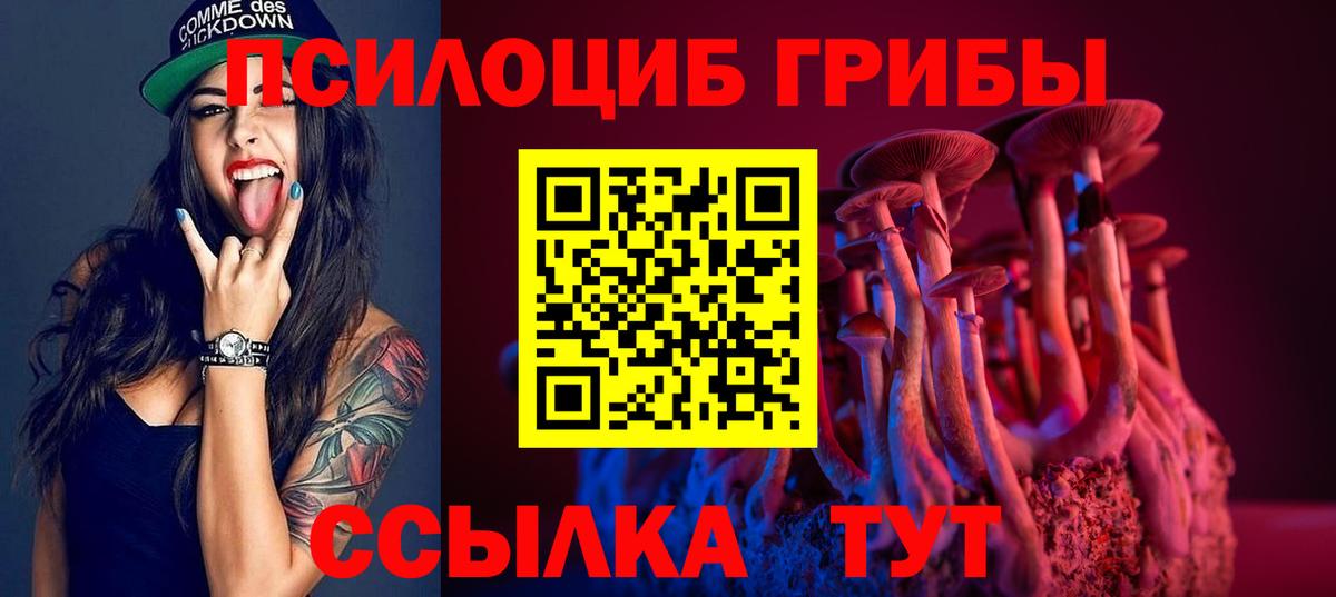 Псилоцибиновые грибы Psilocybine cubensis  Вход с VPN  Архангельск  Псилоцибиновые грибы Cubensis 