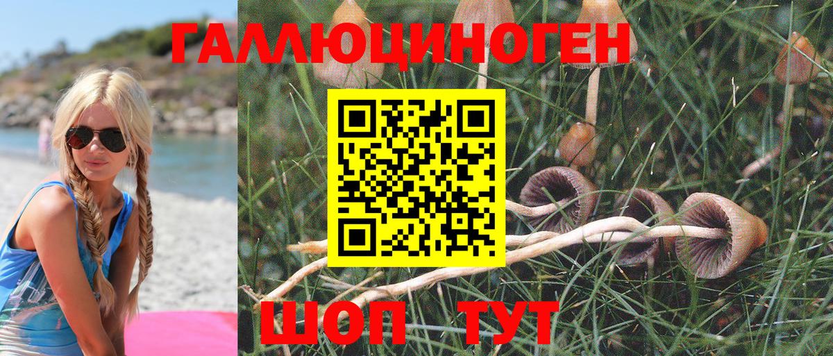 Галлюциногенные грибы Psilocybe Архангельск